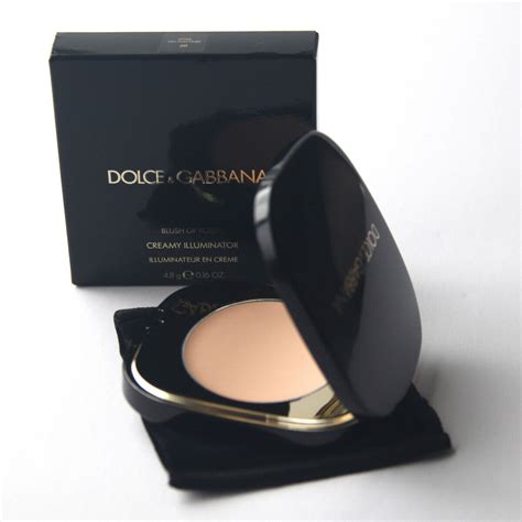 dolce gabbana blush of roses rosa cariba|Dolce & Gabbana Blush of Roses Creamy Illuminator.